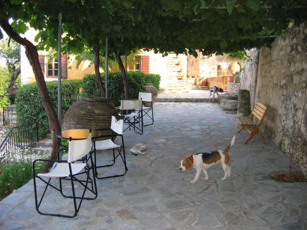 Archontiko Maisonettes Alykes (Zakynthos) Exterior foto